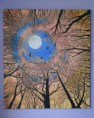 /products/obraz-jesen-prichadza-akryl-na-platne-80x70-cm/